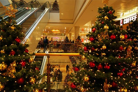 Những cây thông Noel trong trung tâm Linde Center.